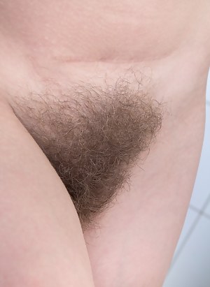 Best Hairy Pussy Porn Pictures